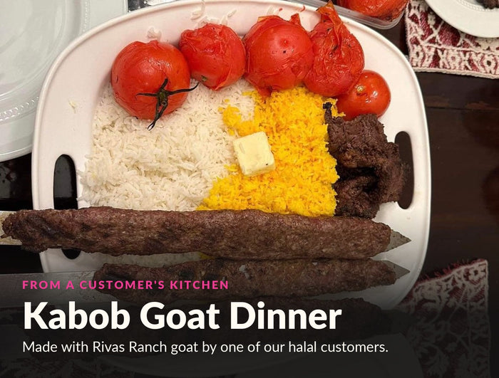 Kabob goat dinner with saffron rice and roasted tomatoes, made by one of our halal customers