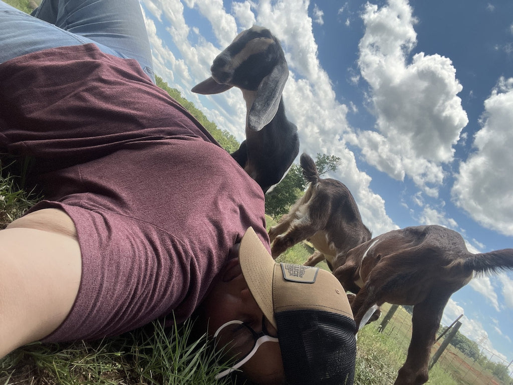 Rivas Ranch goats leaning in, blue sky