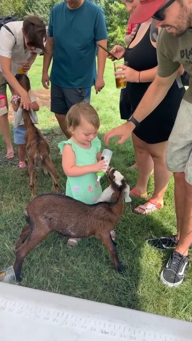 Kids petting baby goats at a Rivas Ranch goat visit